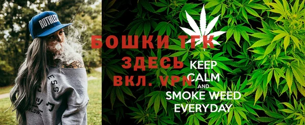 крисы Абаза