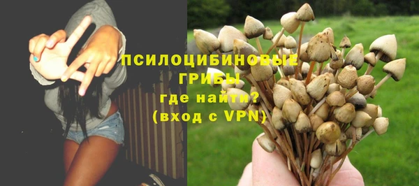 ПСИЛОЦИБИНОВЫЕ ГРИБЫ Абдулино