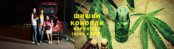 крисы Абаза