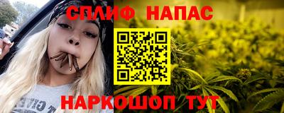 дживик Кингисепп
