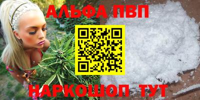 дживик Кингисепп